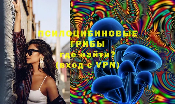 mdpv Зеленодольск