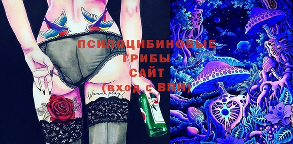 ПСИЛОЦИБИНОВЫЕ ГРИБЫ Зеленокумск