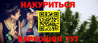 мяу мяу мука Гулькевичи