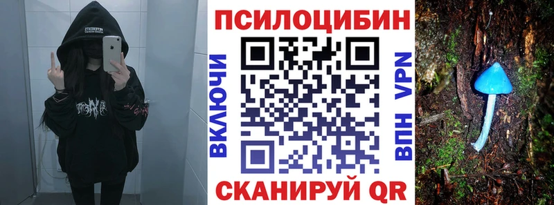где найти наркотики  ссылка на мегу зеркало  Псилоцибиновые грибы Cubensis  Североуральск 